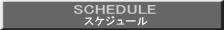 スケジュール